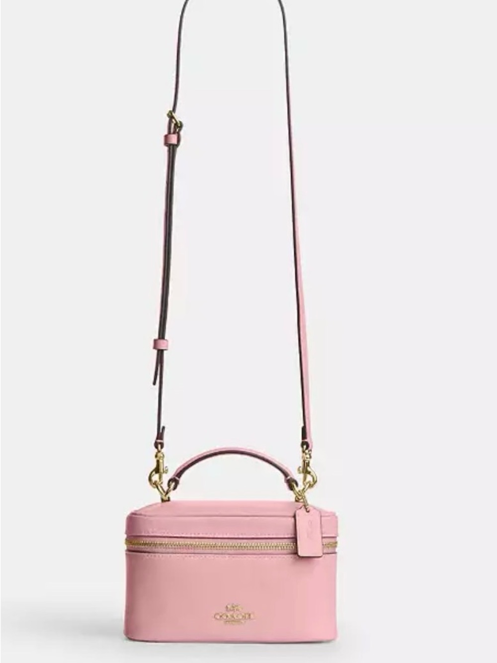 Coach Pink Leather Crossbody Vanity Case